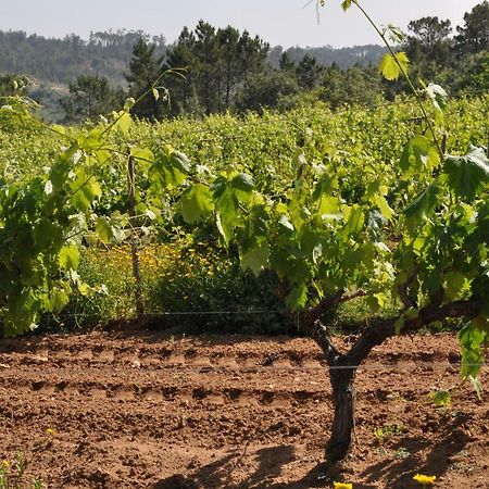 Quinta Da Serrana Ourém Buitenkant foto