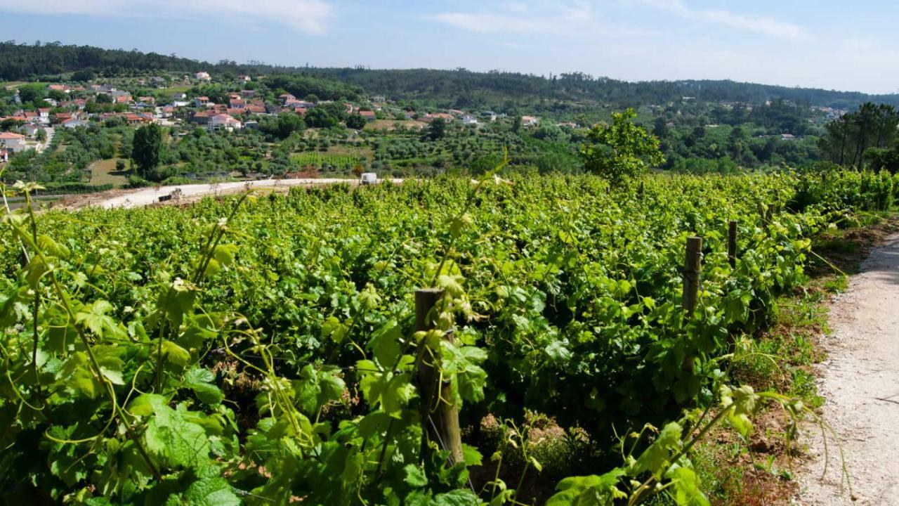 Quinta Da Serrana Ourém Buitenkant foto